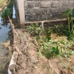 Petani Madiun Keluhkan Sawah Tercemar Limbah Diduga dari SPPG