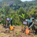 Apel Penanaman Pohon, Pemkab Madiun Dorong Ketahanan Lingkungan Berkelanjutan