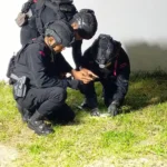 Tim Jibom Amankan Granat MK5 di Pondok Lansia Kota Madiun, Diduga Masih Aktif