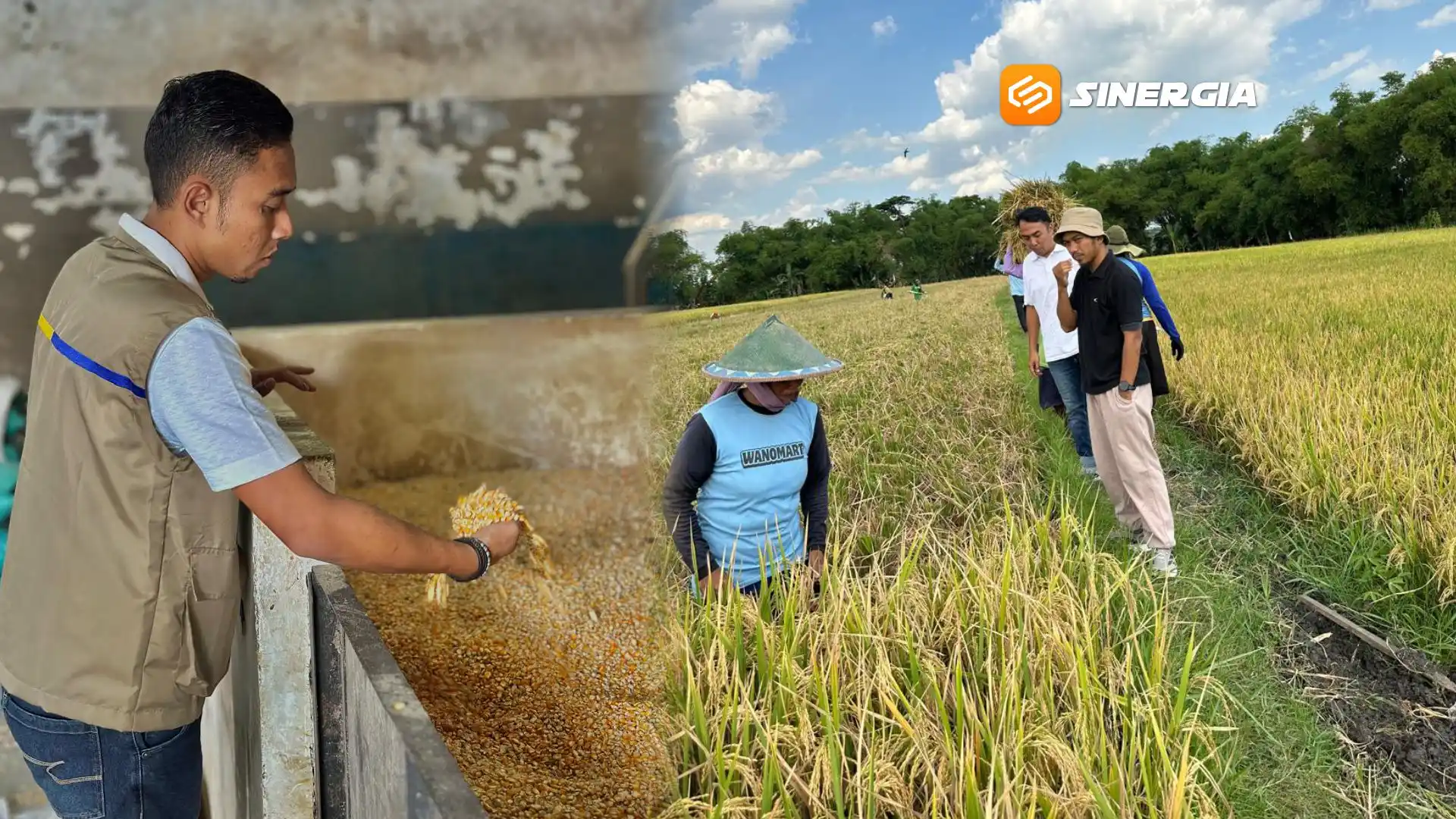 Bulog Madiun Targetkan Serapan Gabah 100.120 Ton dan Jagung 10.105 Ton di Tahun 2026