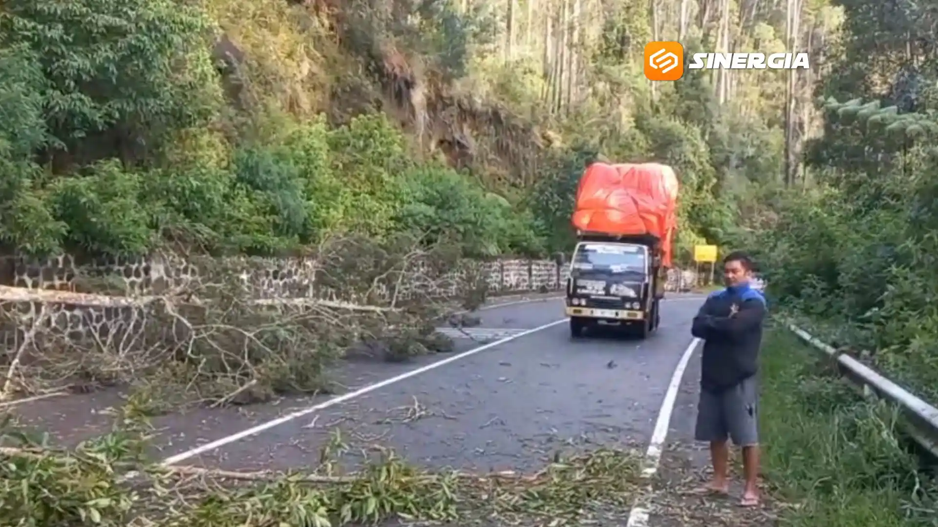 Angin Kencang Terjang Magetan, 15 Pohon Tumbang dan Rumah Hingga Pengendara Tertimpa Pohon