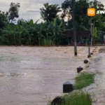 Petani Ponorogo Gigit Jari, Puluhan Hektare Tanaman Padi Rusak Akibat Banjir