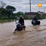 Curah Hujan Tinggi, Banjir Rendam Permukiman dan Sawah di Ponorogo