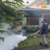 Kasus DBD di Madiun Naik di Puncak Musim Hujan, Dinkes Imbau Warga Waspada