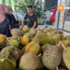 Serbu Musim Durian Dagangan, Juga Menikmati Sajian Es Teler Durian