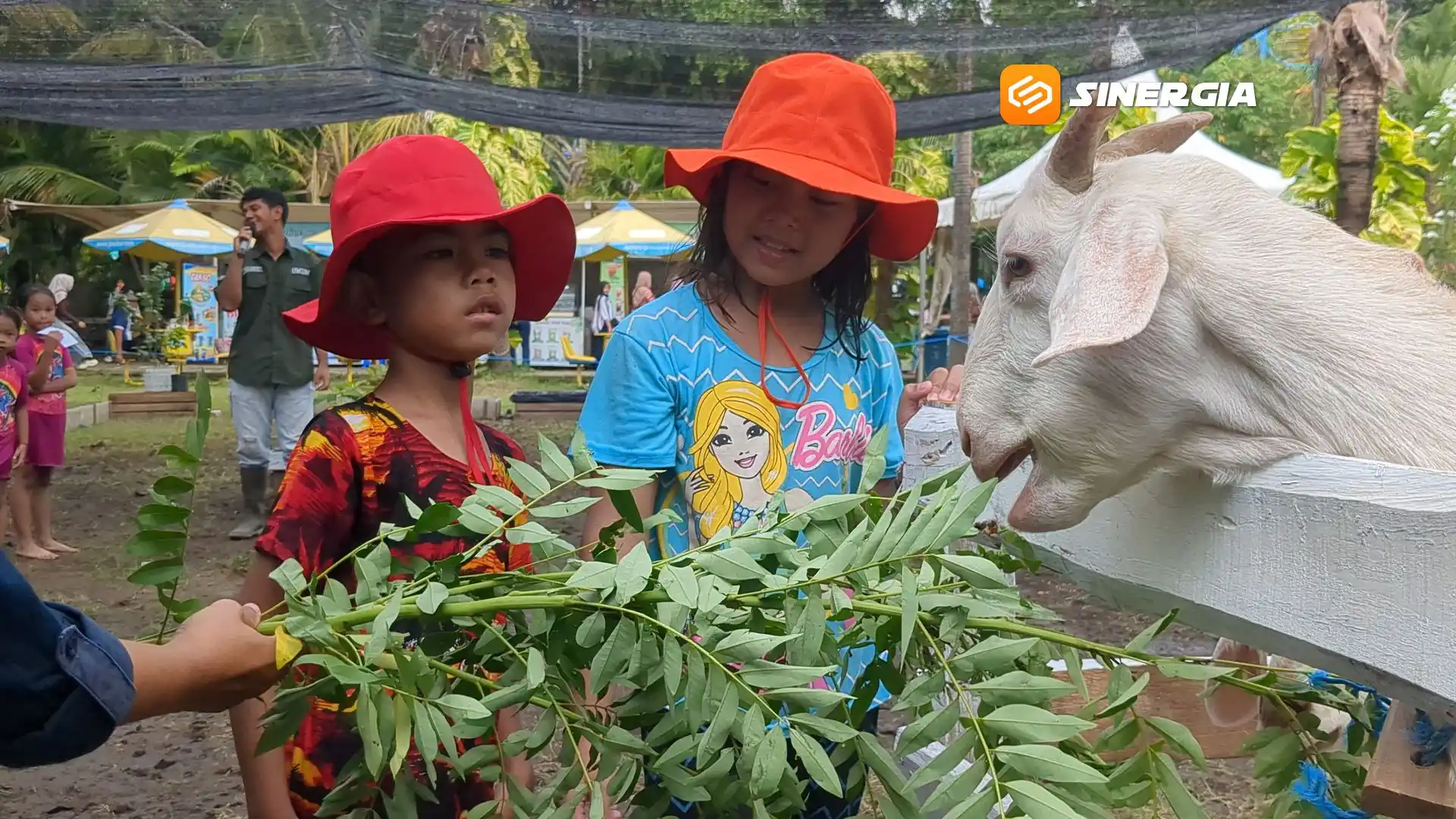 Sajikan Konsep Hey Day, Nusantara Edupark Diserbu Ribuan Pengunjung