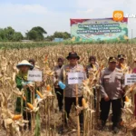 Kapolres Magetan Pimpin Panen Raya Jagung Serentak, Tegaskan Dukungan terhadap Swasembada Pangan 2026
