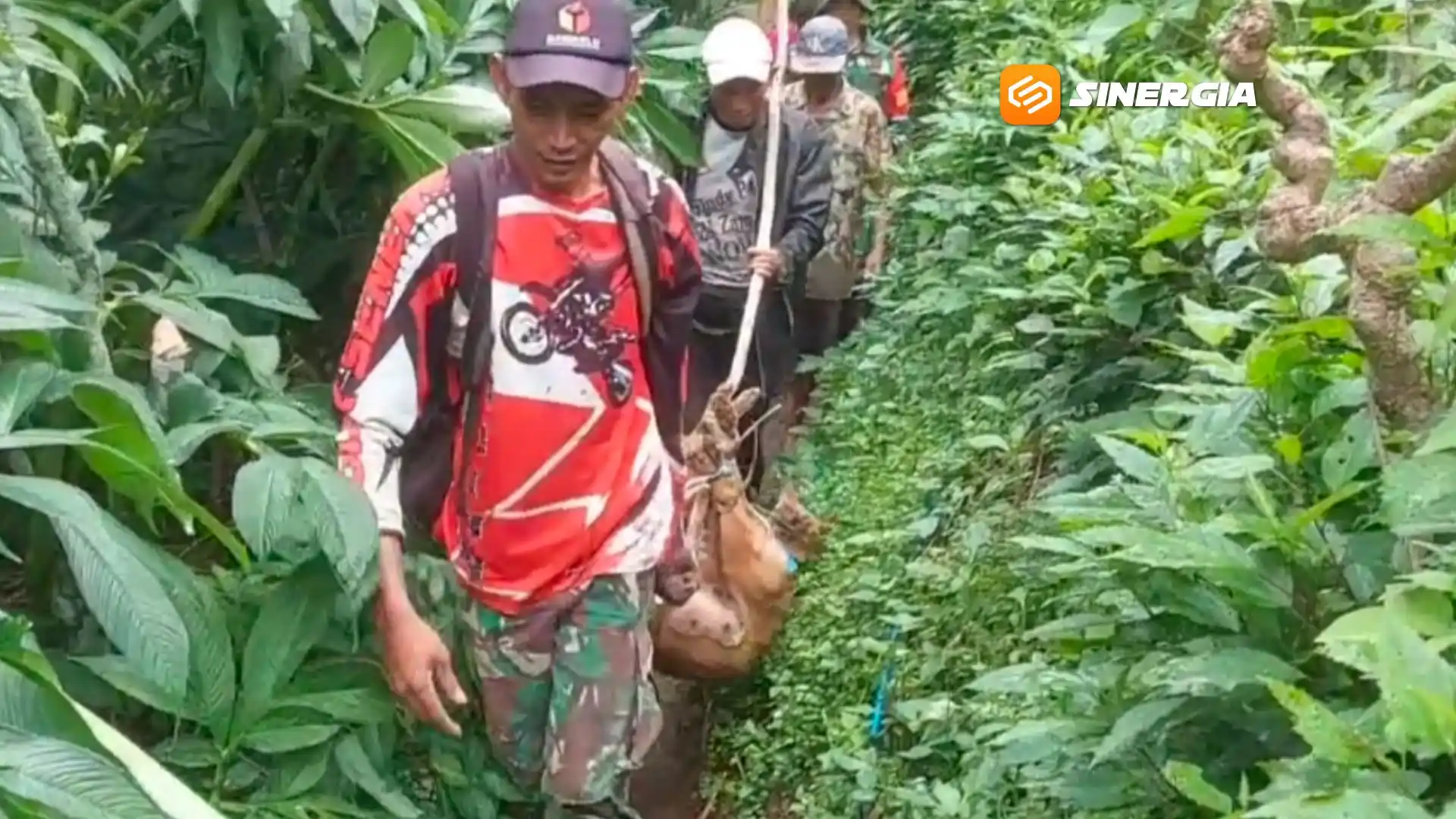 Warga Padas Tangkap Dua Anjing Liar Diduga Pemangsa Belasan Kambing