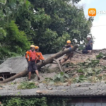 Awal 2026, Magetan Dilanda 50 Kejadian Bencana, Cuaca Ekstrem Jadi Pemicu Utama