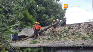 Awal 2026, Magetan Dilanda 50 Kejadian Bencana, Cuaca Ekstrem Jadi Pemicu Utama