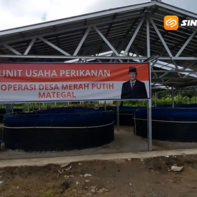 Unit Usaha KDMP Mategal Mulai Dirasakan Manfaatnya, Bioflok Lele Jadi Fokus Pengembangan