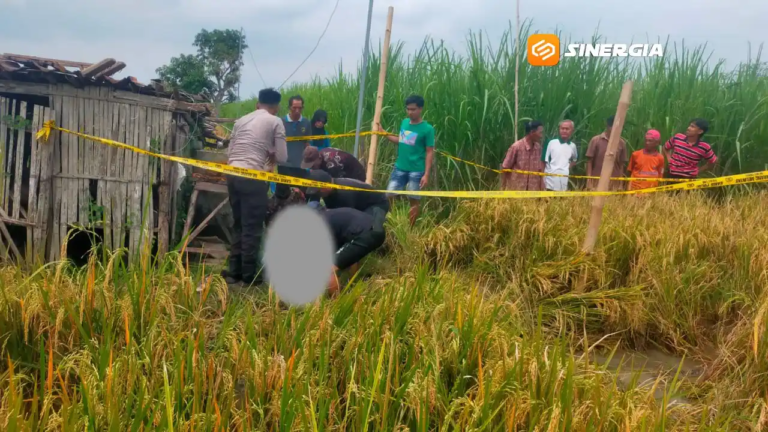 Dua Pekerja di Madiun Tewas Tersetrum Saat Perbaiki Kabel Pompa Sawah 