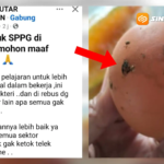 Telur Rebus Kotor di Paket MBG Lembeyan Viral, Standar Kebersihan Dipertanyakan