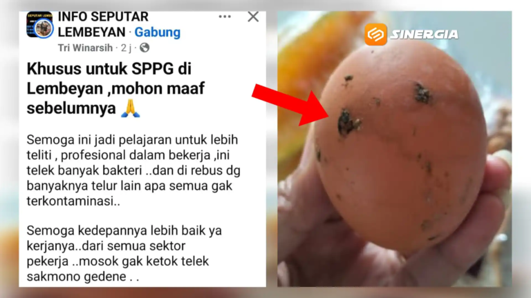 Telur Rebus Kotor di Paket MBG Lembeyan Viral, Standar Kebersihan Dipertanyakan