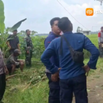 Mencari Pakan Ternak, Pria 65 Tahun di Ngawi Tewas Tersangkut di Pohon Setinggi 8 Meter