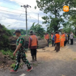 Magetan Diterjang Cuaca Ekstrem, Dua Pohon Besar Tumbang dan Tutup Total Akses Jalan
