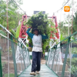 Jembatan Perintis Garuda Permudah Hidup Warga Desa, Anak Sekolah dan Petani Kini Lebih Mudah Beraktivitas