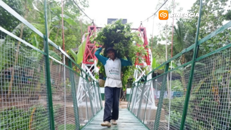 Jembatan Perintis Garuda Permudah Hidup Warga Desa, Anak Sekolah dan Petani Kini Lebih Mudah Beraktivitas