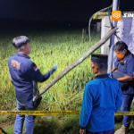 Jebakan Tikus Makan Korban Lagi! Petani 60 Tahun di Madiun Tewas Tersengat Listrik di Sawah