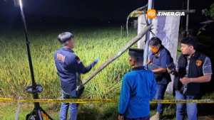 Jebakan Tikus Makan Korban Lagi! Petani 60 Tahun di Madiun Tewas Tersengat Listrik di Sawah