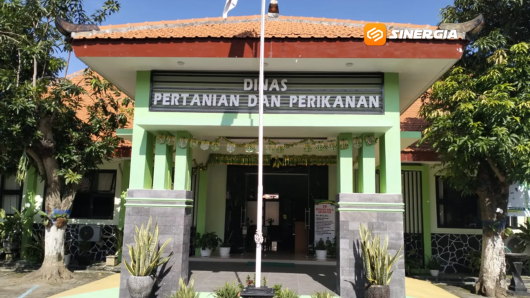 Dinas Pertanian Kabupaten Madiun Update Monitoring Program Satu Rumah Satu Pohon Produktif