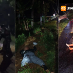 Pohon Mahoni Tumbang di Magetan, Dua Pengendara Motor Luka Serius di Jalan Parang–Lembeyan