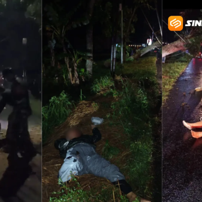 Pohon Mahoni Tumbang di Magetan, Dua Pengendara Motor Luka Serius di Jalan Parang–Lembeyan