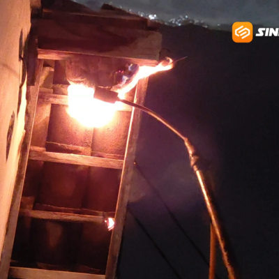 Waspada! Sarang ‘Tawon Ndas’ Sembunyi di Atap Rumah Warga Madiun, Begini Proses Evakuasinya