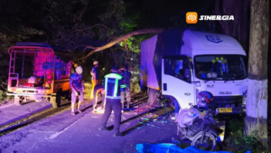 Truk Box Tabrak Pohon di Jalur Magetan–Maospati, Akses Jalan Sempat Tertutup Total