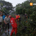 Hujan Deras dan Angin Kencang Landa Kota Madiun, 10 Titik Pohon Tumbang, 1 Motor Tertimpa