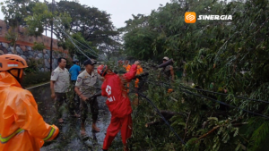 Hujan Deras dan Angin Kencang Landa Kota Madiun, 10 Titik Pohon Tumbang, 1 Motor Tertimpa
