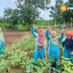 Dari Gelandangan ke Petani, “Ladangku” di UPT RSBK Madiun Tumbuhkan Harapan Baru