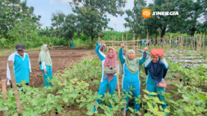 Dari Gelandangan ke Petani, “Ladangku” di UPT RSBK Madiun Tumbuhkan Harapan Baru