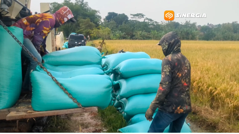 Bulog Jatim Klaim Tertinggi Nasional, Stok Aman hingga 14 Bulan