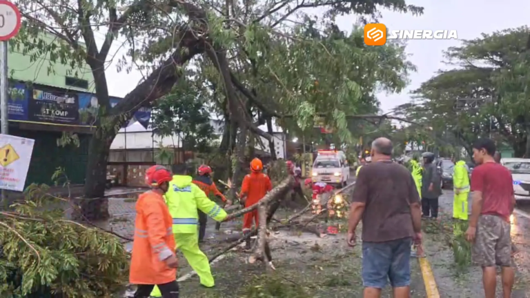 Hujan Disertai Angin Kencang Terjang Ngawi, Pohon Tumbang Picu Kemacetan Total