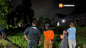 Bocah 4 Tahun di Madiun Hilang Misterius, Warga dan BPBD Lakukan Pencarian