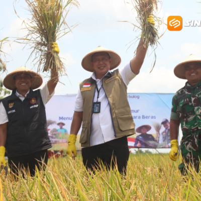 Bulog Pastikan Harga Gabah Petani Terjaga, Ngawi Jadi Lumbung Produksi Strategis