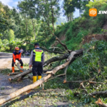 Longsor Tutup Jalur Ponorogo–Pacitan, Arus Lalin Diberlakukan Buka Tutup