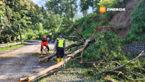 Longsor Tutup Jalur Ponorogo–Pacitan, Arus Lalin Diberlakukan Buka Tutup