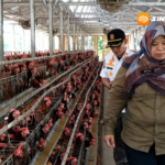 Warga Rejomulyo Ngawi Keluhkan Bau Peternakan Ayam, DLH Minta Perbaikan Pengelolaan Limbah