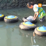Aksi Nyata Hari Bumi, Pemuda Ponorogo Pasang Barikade Sampah di Sungai Tambak Kemangi