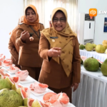 Festival Pamelo 2026, Dorong Semangat Petani dan Promosi Wisata Daerah