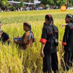 Tradisi Methik Pari Desa Glinggang, Wujud Syukur dan Pelestarian Budaya Jelang Panen