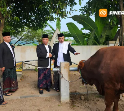 Bupati Madiun Serahkan Sapi Jumbo Untuk Kurban, Ajak ASN Berdayakan Peternak Lokal