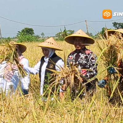Dampingi Gubernur Khofifah Percepatan Tanam, Hari Wuryanto Optimis Madiun Jadi Lumbung Pangan Jatim