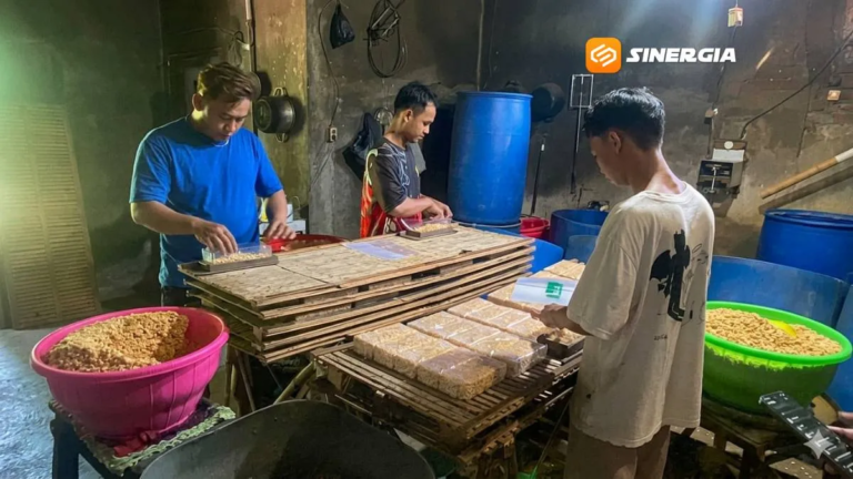 Harga Kedelai Naik, Perajin Tempe di Ponorogo Kecilkan Ukuran