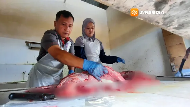 Ditemukan Cacing Hati pada Hewan Kurban di Magetan, Disnakkan Pastikan Daging Tetap Aman