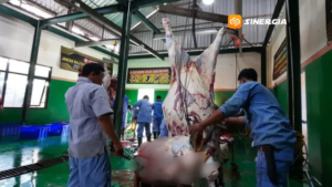 RPH Jadi Pilihan Praktis Penyembelihan Kurban di Magetan