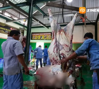 RPH Jadi Pilihan Praktis Penyembelihan Kurban di Magetan
