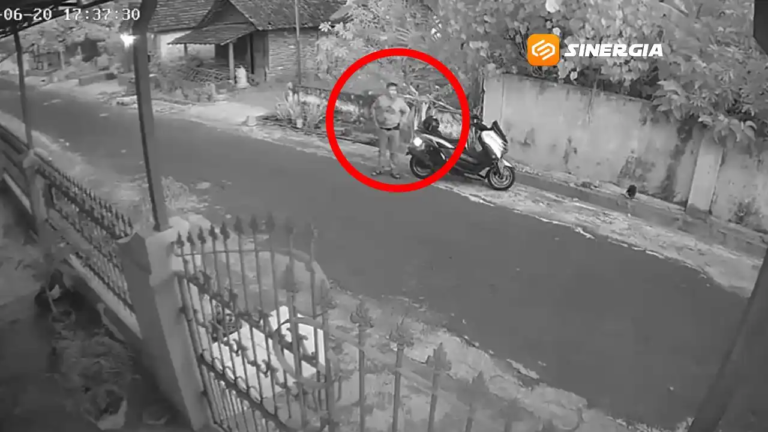 Aksi Pencurian Tas Pengantar Ayam Terekam CCTV, Uang hingga Ponsel Raib